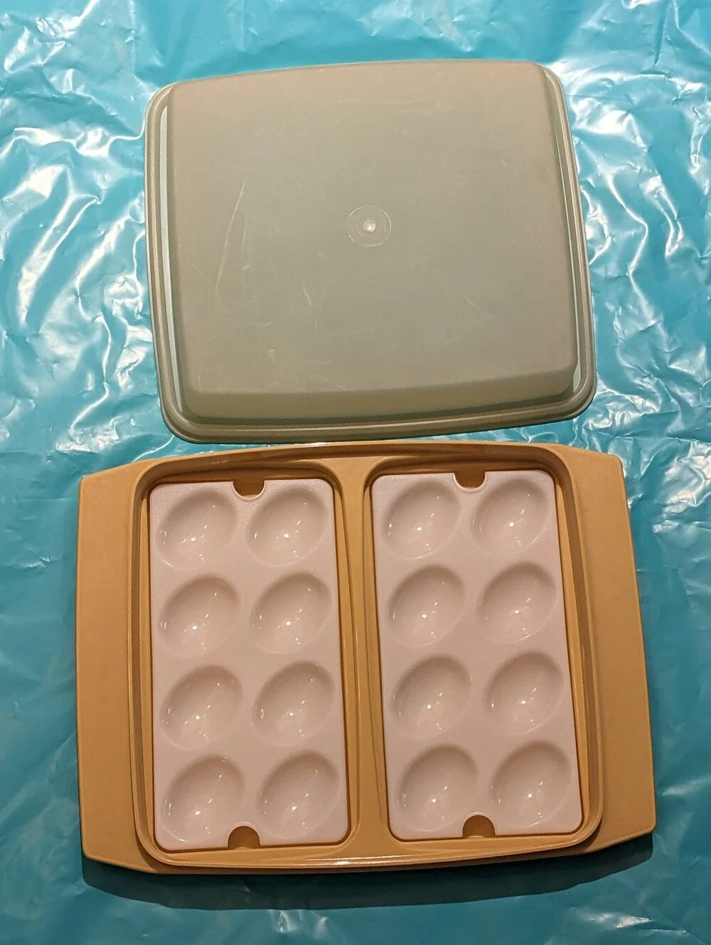 Tupperware vintage deviled